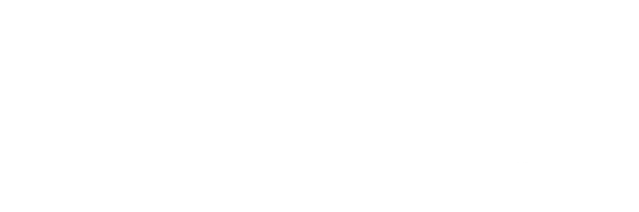 CS55 Logo